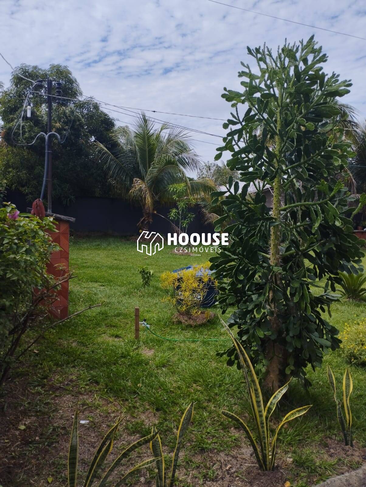 Chácara à venda com 2 quartos, 2000m² - Foto 2