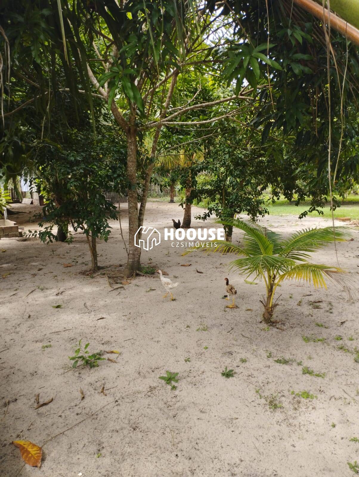 Chácara à venda com 2 quartos, 2000m² - Foto 13